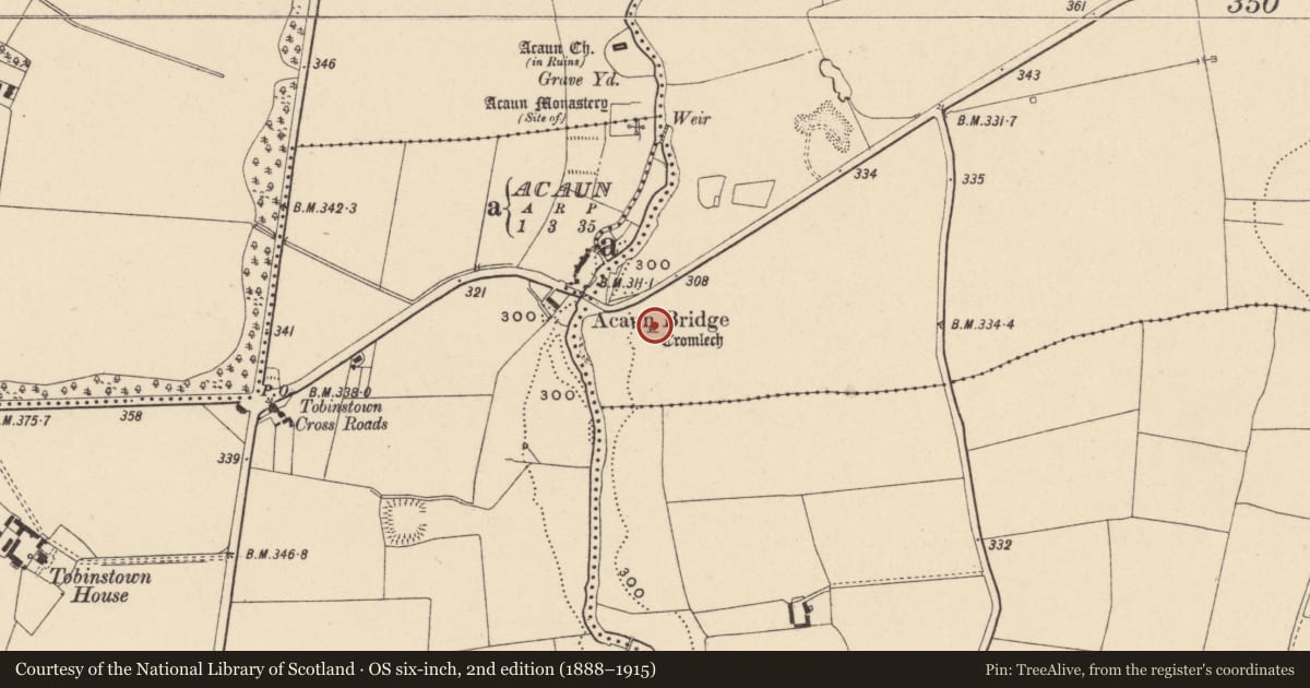 Ordnance Survey six-inch map, 2nd edition (1888–1915) covering the location of Megalithic tomb - portal tomb, Haroldstown, County Carlow, with a pin at the register's coordinates