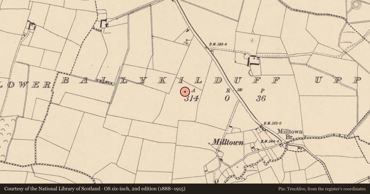 Ordnance Survey six-inch map, 2nd edition (1888–1915) covering the location of Enclosure, Ballykilduff Upper, County Carlow, with a pin at the register's coordinates