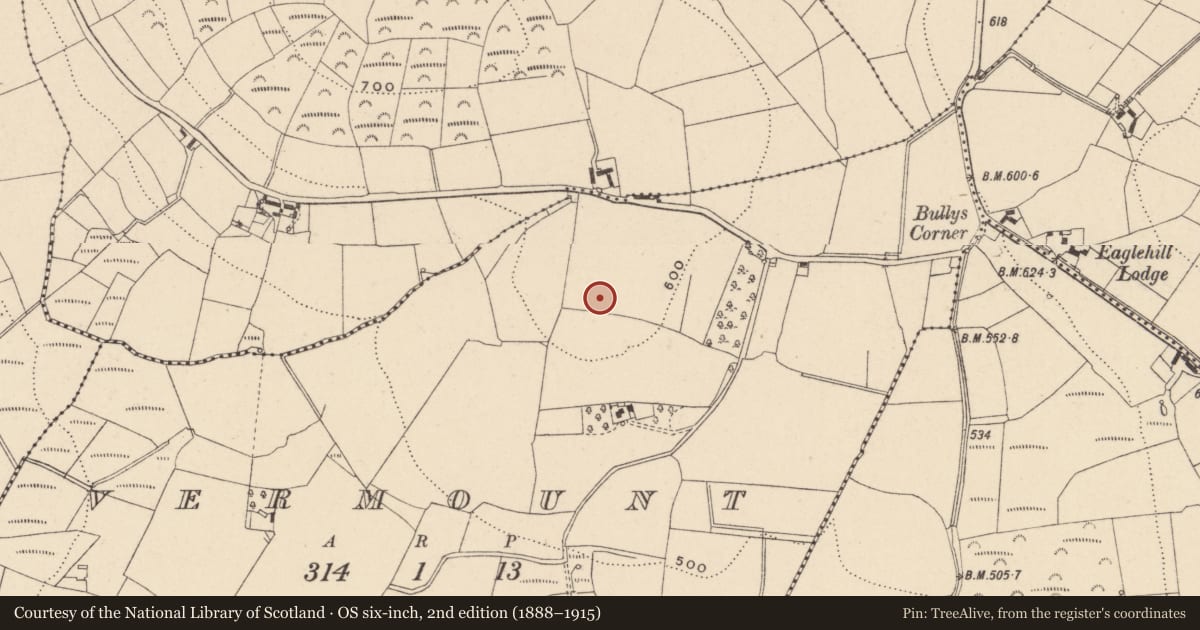Ordnance Survey six-inch map, 2nd edition (1888–1915) covering the location of Cist, Vermount, County Carlow, with a pin at the register's coordinates