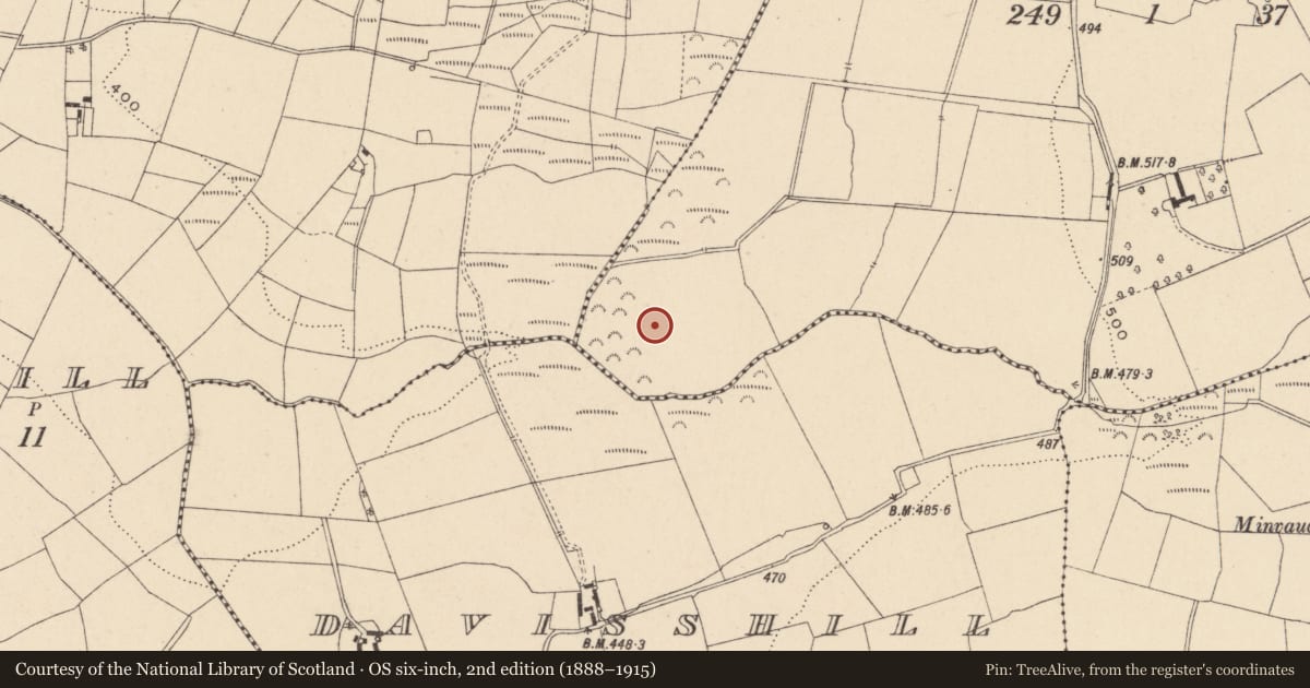 Ordnance Survey six-inch map, 2nd edition (1888–1915) covering the location of Burial ground, Croneskagh Upper, County Carlow, with a pin at the register's coordinates