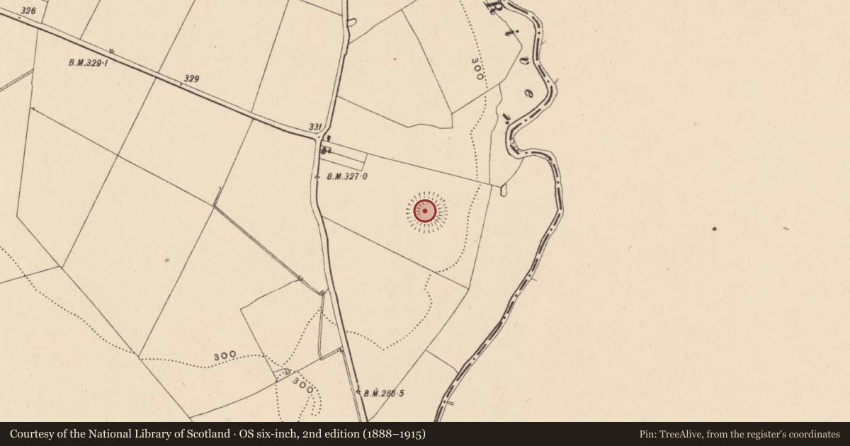 Ordnance Survey six-inch map, 2nd edition (1888–1915) covering the location of Ringfort - rath, Tankardstown, County Carlow, with a pin at the register's coordinates