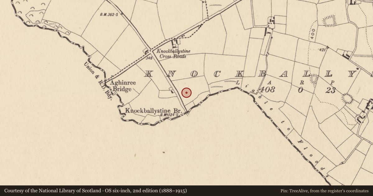 Ordnance Survey six-inch map, 2nd edition (1888–1915) covering the location of Church, Knockballystine, County Carlow, with a pin at the register's coordinates