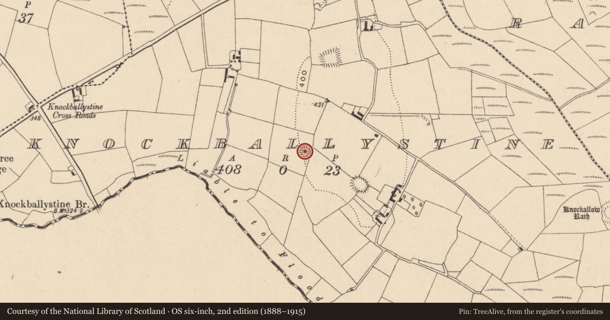Ordnance Survey six-inch map, 2nd edition (1888–1915) covering the location of Ringfort - rath, Knockballystine, County Carlow, with a pin at the register's coordinates