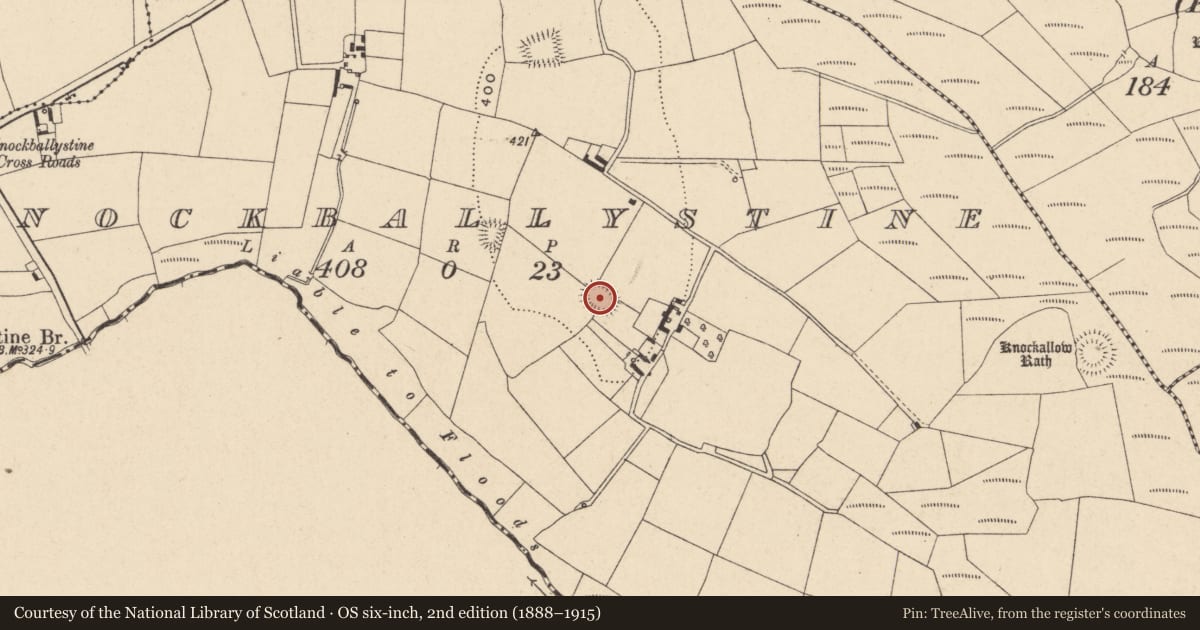 Ordnance Survey six-inch map, 2nd edition (1888–1915) covering the location of Ringfort - rath, Knockballystine, County Carlow, with a pin at the register's coordinates