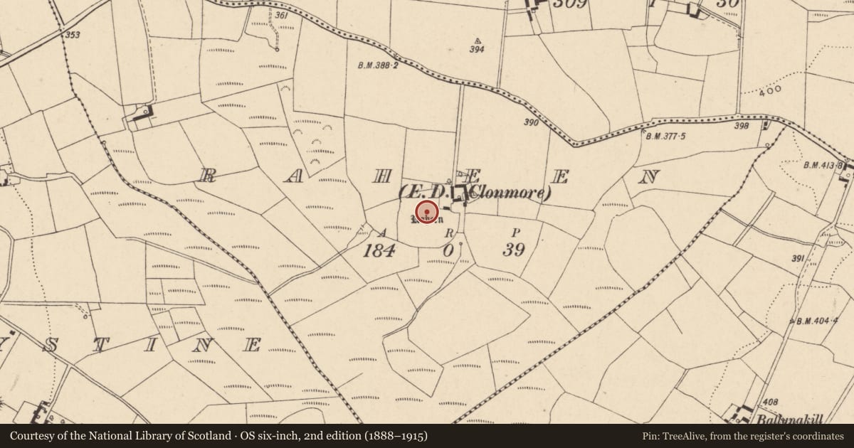 Ordnance Survey six-inch map, 2nd edition (1888–1915) covering the location of Enclosure, Raheen, County Carlow, with a pin at the register's coordinates