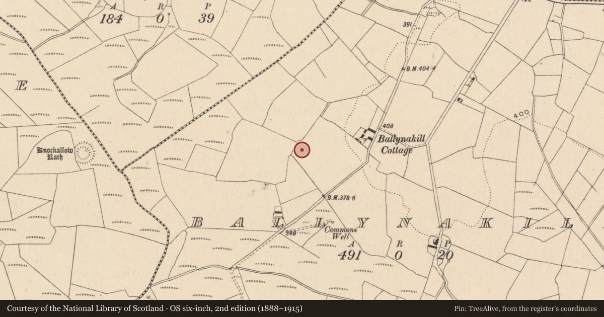 Ordnance Survey six-inch map, 2nd edition (1888–1915) covering the location of Enclosure, Ballynakill, County Carlow, with a pin at the register's coordinates