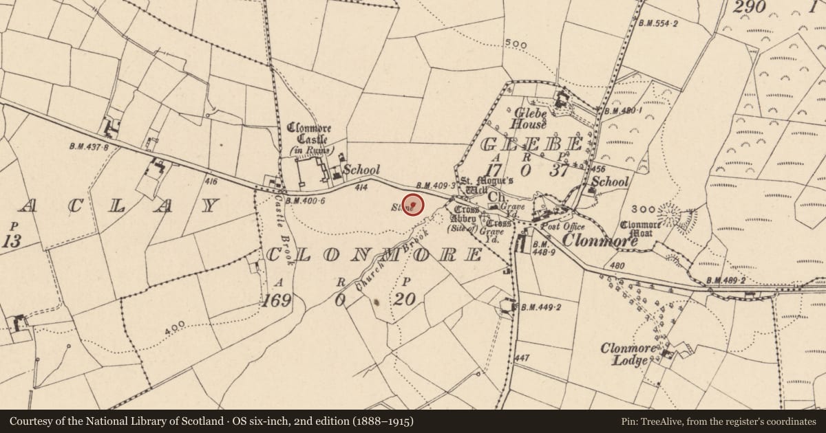 Ordnance Survey six-inch map, 2nd edition (1888–1915) covering the location of Bullaun stone, Clonmore, County Carlow, with a pin at the register's coordinates