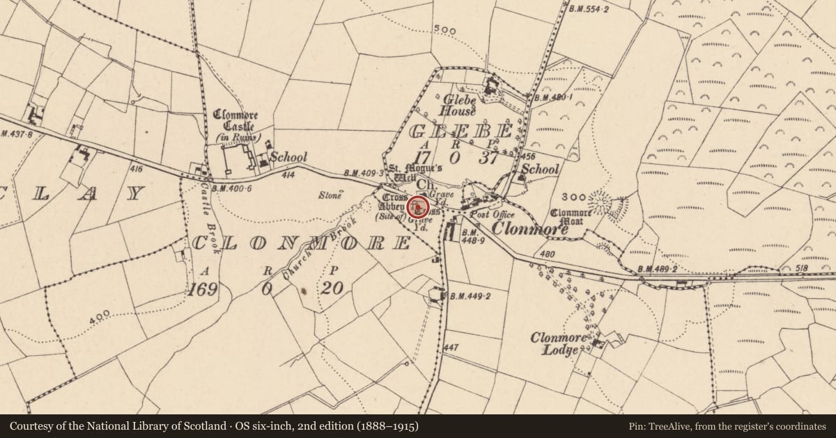 Ordnance Survey six-inch map, 2nd edition (1888–1915) covering the location of Cross - High cross, Glebe, County Carlow, with a pin at the register's coordinates