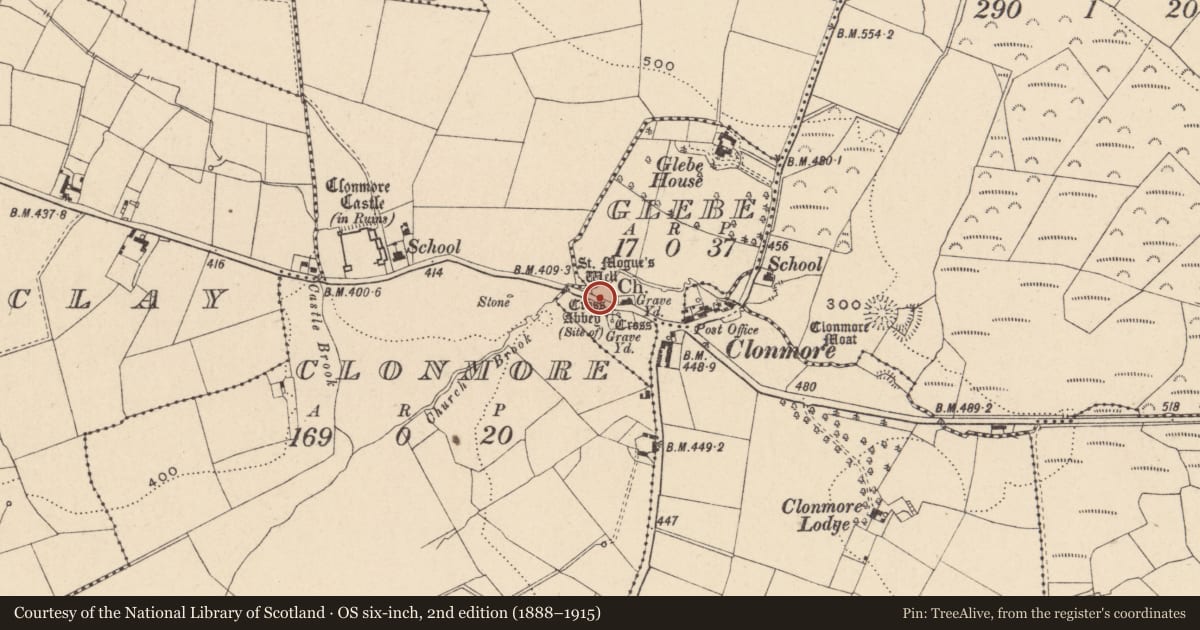 Ordnance Survey six-inch map, 2nd edition (1888–1915) covering the location of Cross - High cross, Glebe, County Carlow, with a pin at the register's coordinates