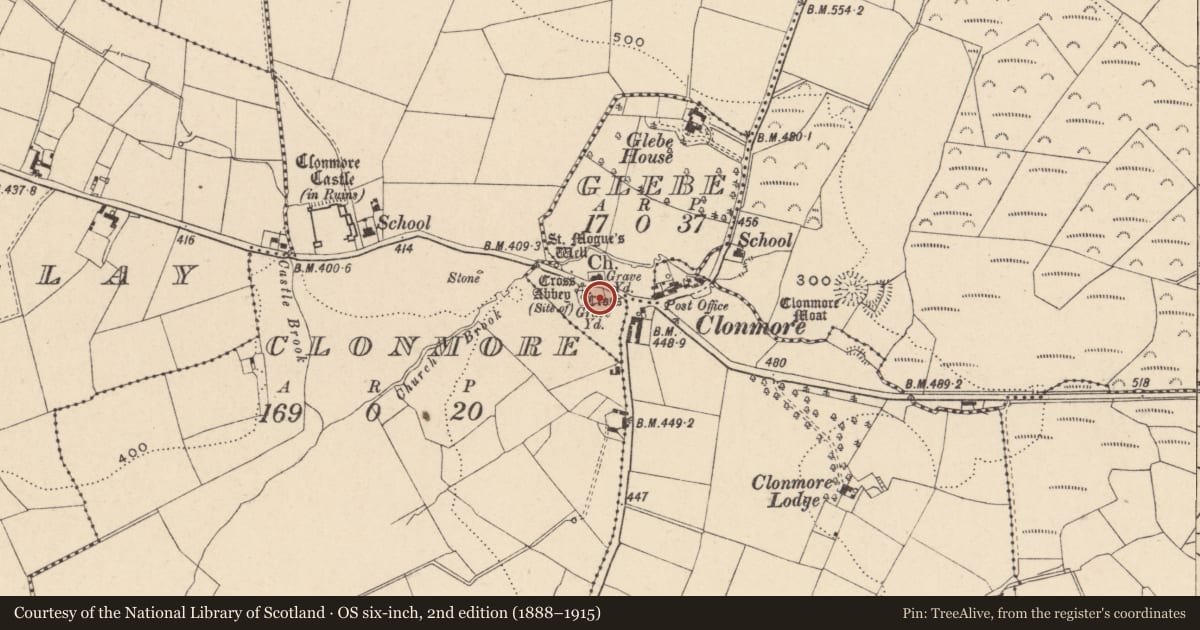Ordnance Survey six-inch map, 2nd edition (1888–1915) covering the location of Cross-slab, Glebe, County Carlow, with a pin at the register's coordinates