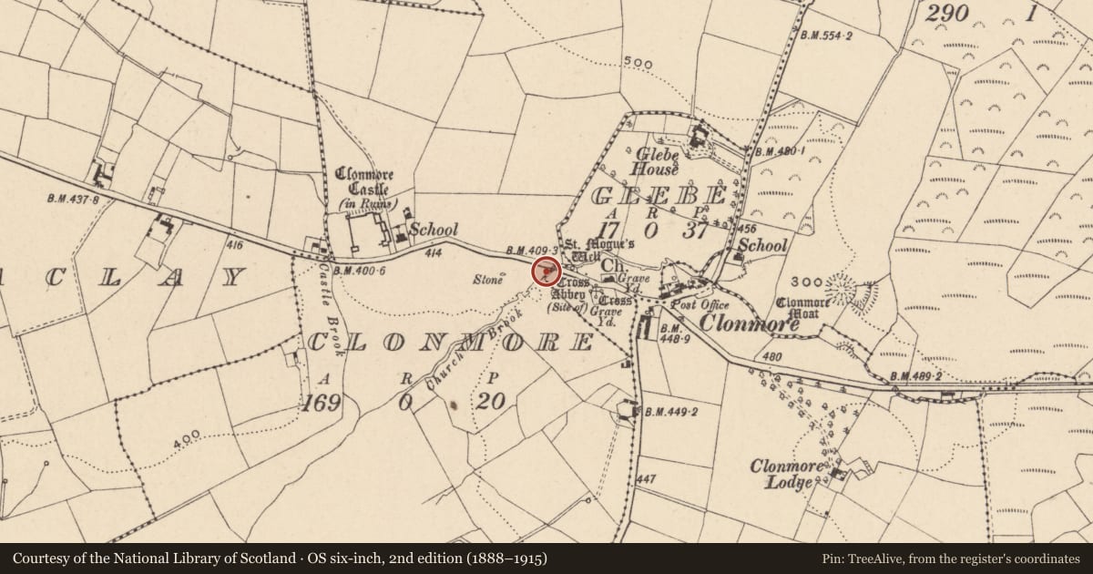 Ordnance Survey six-inch map, 2nd edition (1888–1915) covering the location of Bullaun stone (present location), Glebe, County Carlow, with a pin at the register's coordinates