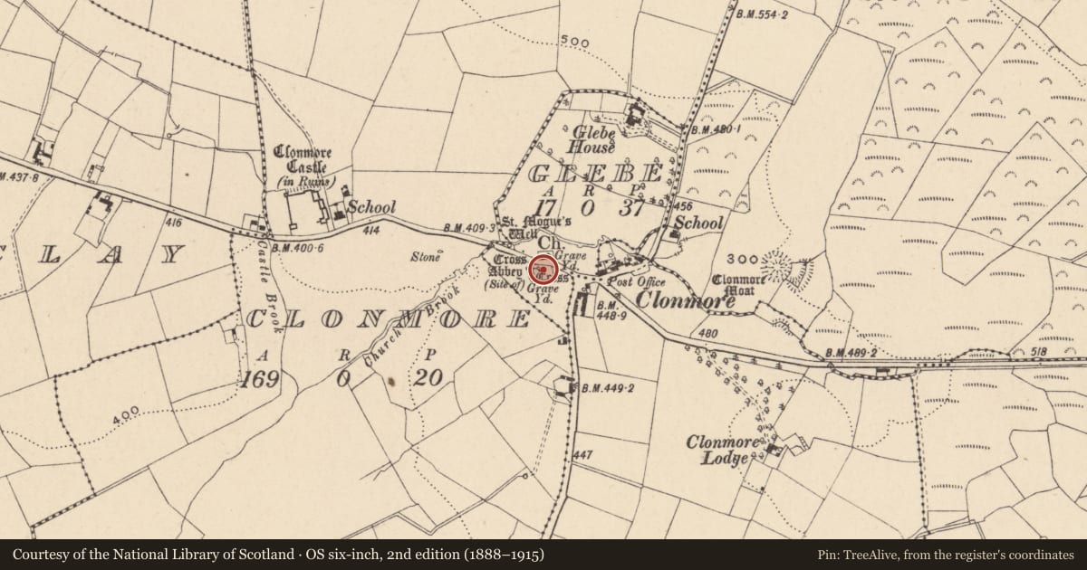Ordnance Survey six-inch map, 2nd edition (1888–1915) covering the location of Cross-slab, Glebe, County Carlow, with a pin at the register's coordinates