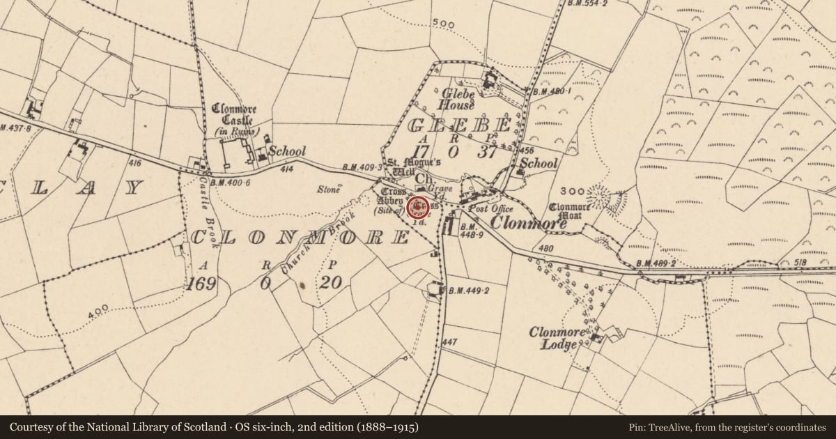 Ordnance Survey six-inch map, 2nd edition (1888–1915) covering the location of Cross-slab, Glebe, County Carlow, with a pin at the register's coordinates