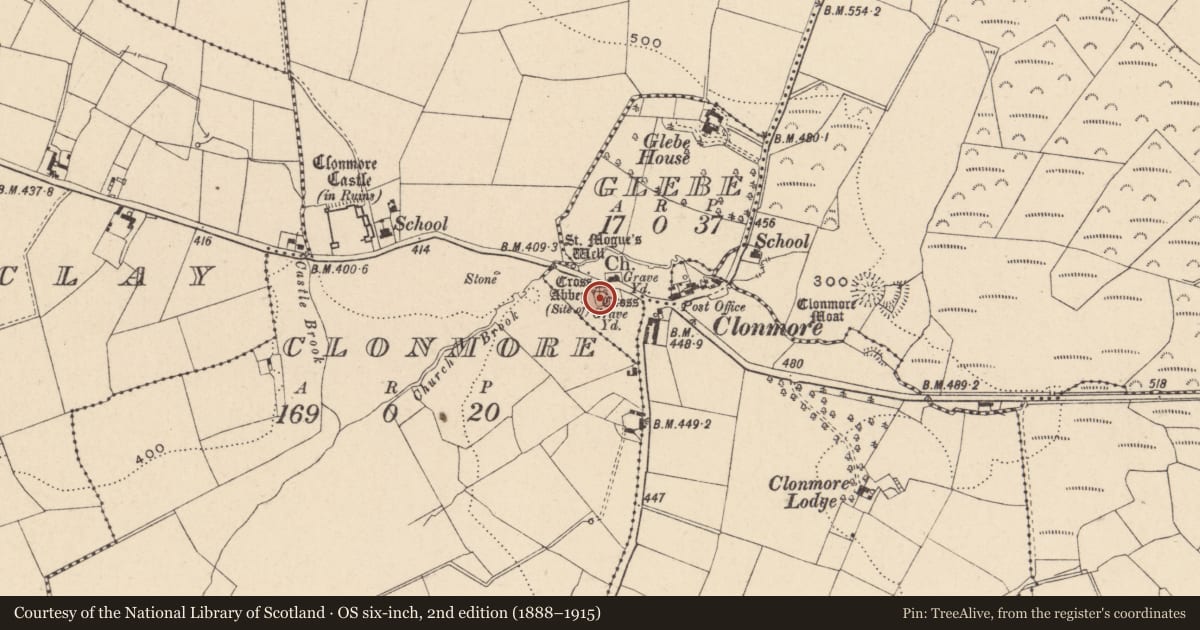 Ordnance Survey six-inch map, 2nd edition (1888–1915) covering the location of Cross-slab, Glebe, County Carlow, with a pin at the register's coordinates