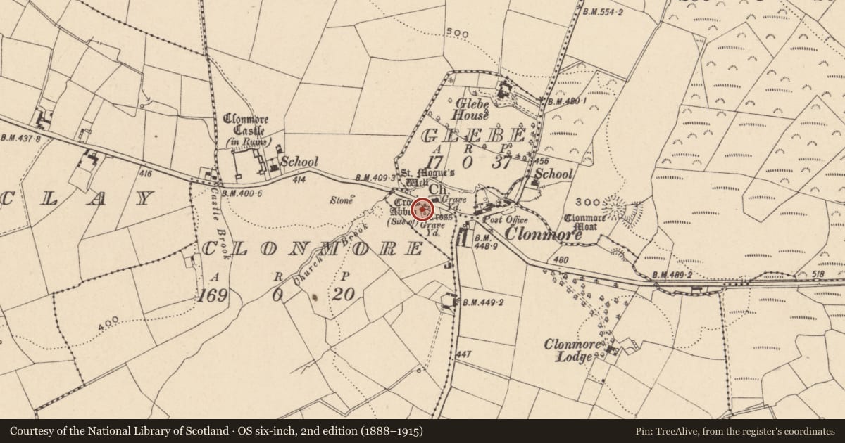 Ordnance Survey six-inch map, 2nd edition (1888–1915) covering the location of Cross-slab, Glebe, County Carlow, with a pin at the register's coordinates