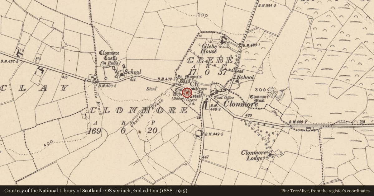Ordnance Survey six-inch map, 2nd edition (1888–1915) covering the location of Cross-slab, Glebe, County Carlow, with a pin at the register's coordinates