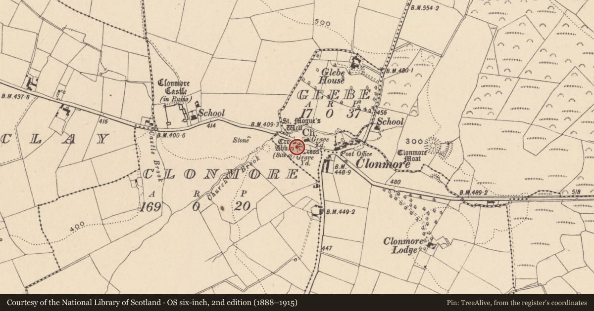 Ordnance Survey six-inch map, 2nd edition (1888–1915) covering the location of Cross-slab, Glebe, County Carlow, with a pin at the register's coordinates