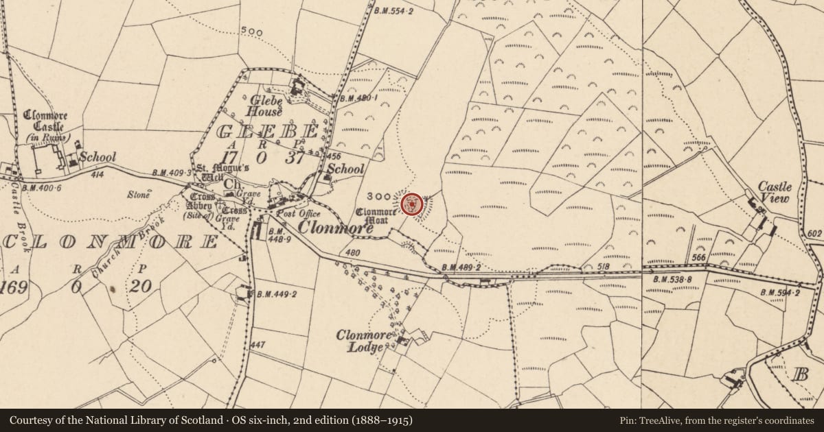 Ordnance Survey six-inch map, 2nd edition (1888–1915) covering the location of Castle - motte and bailey, Minvaud Upper, County Carlow, with a pin at the register's coordinates