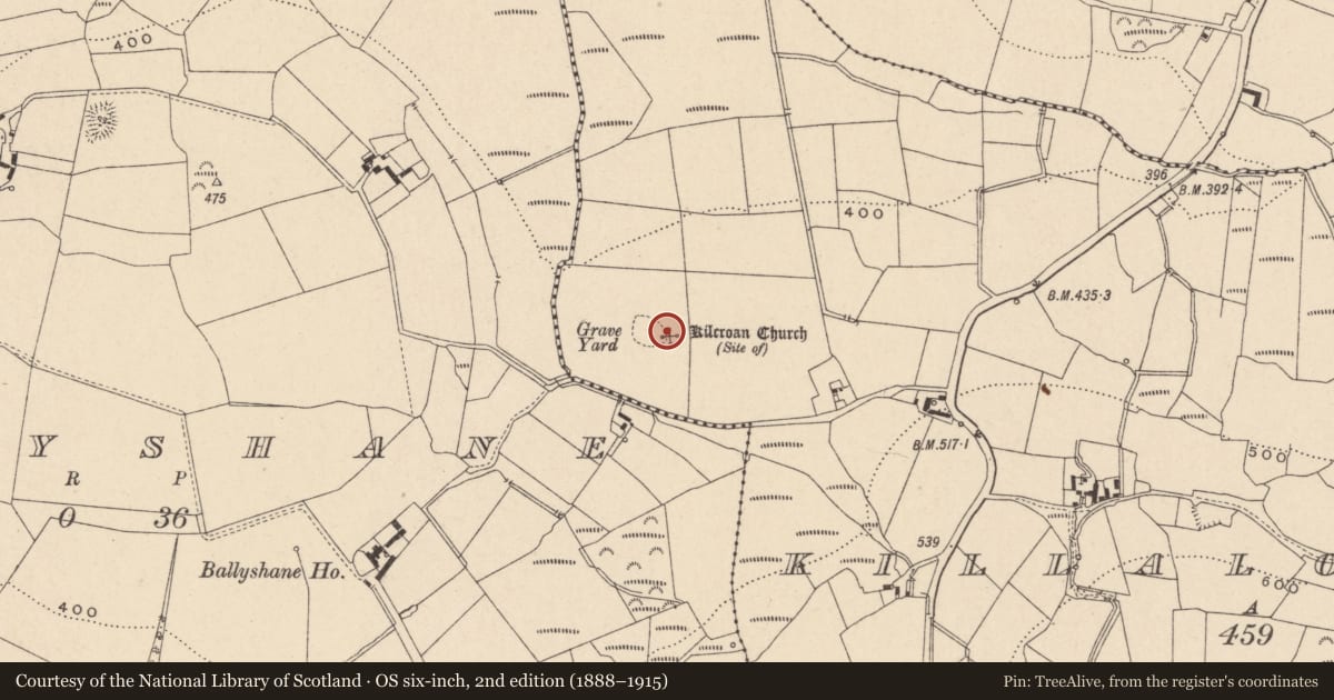Ordnance Survey six-inch map, 2nd edition (1888–1915) covering the location of Church, Killalongford, County Carlow, with a pin at the register's coordinates