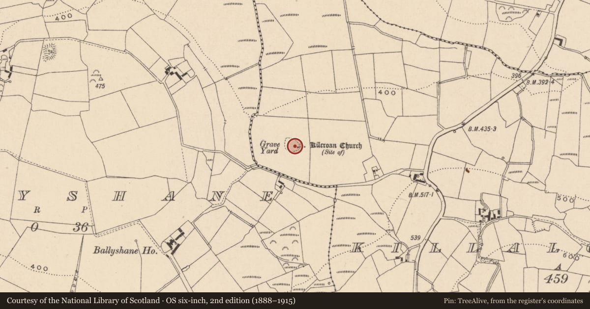 Ordnance Survey six-inch map, 2nd edition (1888–1915) covering the location of Graveyard, Killalongford, County Carlow, with a pin at the register's coordinates