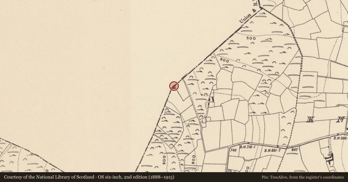 Ordnance Survey six-inch map, 2nd edition (1888–1915) covering the location of Ringfort - cashel, Killalongford, County Carlow, with a pin at the register's coordinates