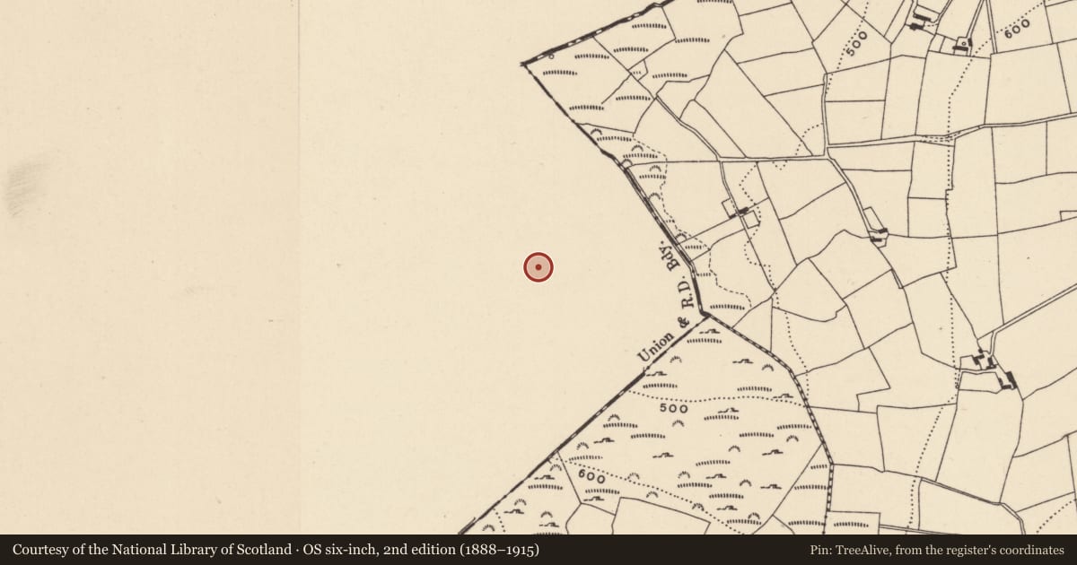 Ordnance Survey six-inch map, 2nd edition (1888–1915) covering the location of Earthwork, Killalongford, County Carlow, with a pin at the register's coordinates