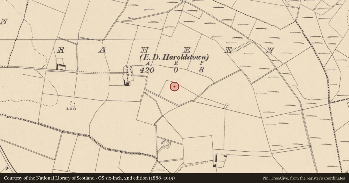 Ordnance Survey six-inch map, 2nd edition (1888–1915) covering the location of Earthwork, Raheen, County Carlow, with a pin at the register's coordinates
