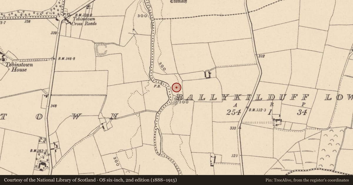 Ordnance Survey six-inch map, 2nd edition (1888–1915) covering the location of Fulacht fia, Ballykilduff Lower, County Carlow, with a pin at the register's coordinates