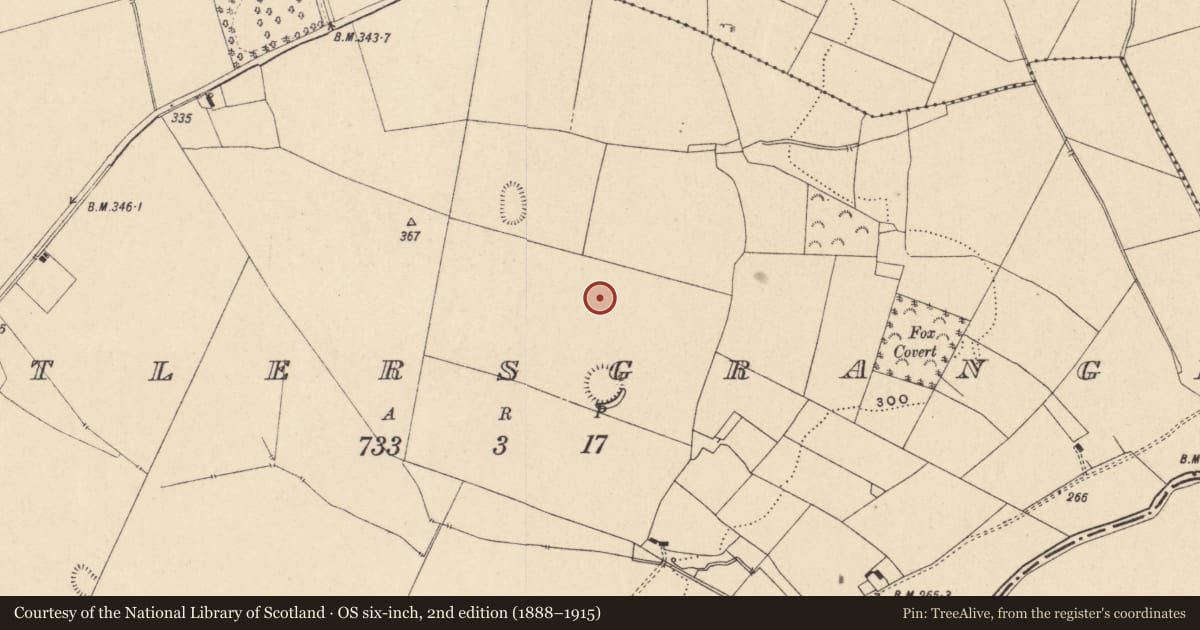 Ordnance Survey six-inch map, 2nd edition (1888–1915) covering the location of Standing stone, Butlersgrange, County Carlow, with a pin at the register's coordinates