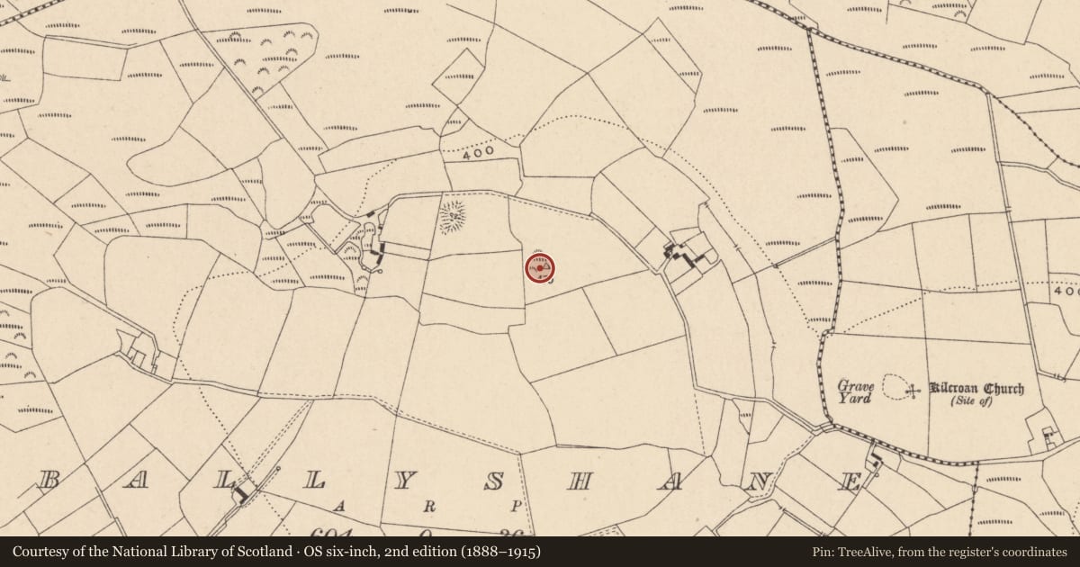 Ordnance Survey six-inch map, 2nd edition (1888–1915) covering the location of Ringfort - rath, Ballyshane, County Carlow, with a pin at the register's coordinates