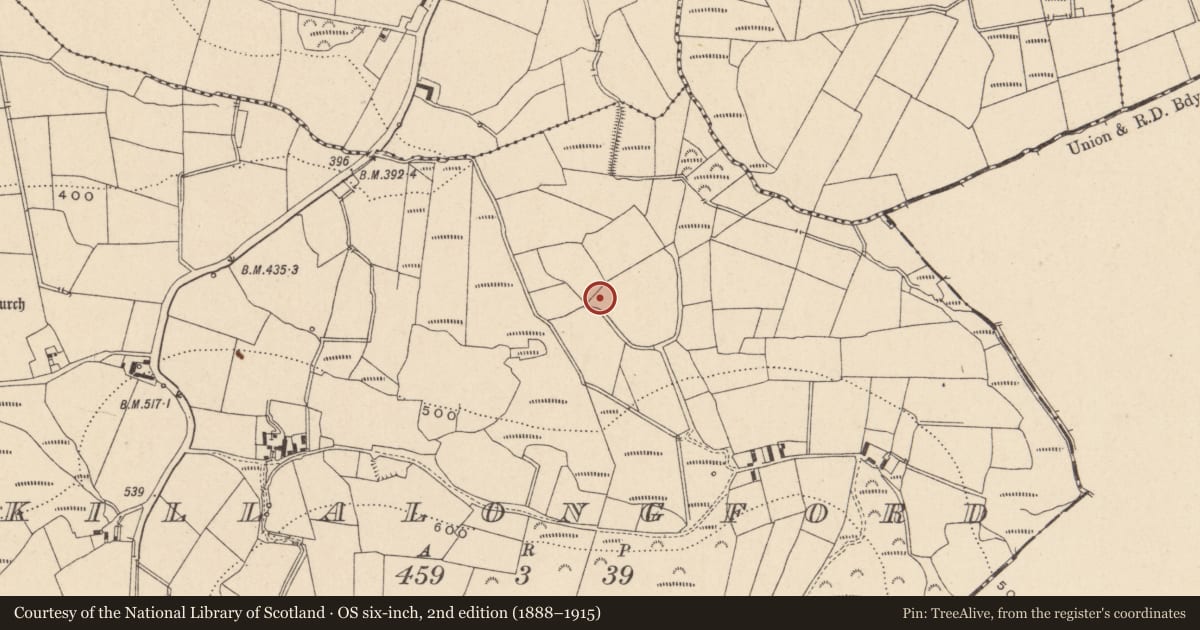 Ordnance Survey six-inch map, 2nd edition (1888–1915) covering the location of Bullaun stone, Killalongford, County Carlow, with a pin at the register's coordinates