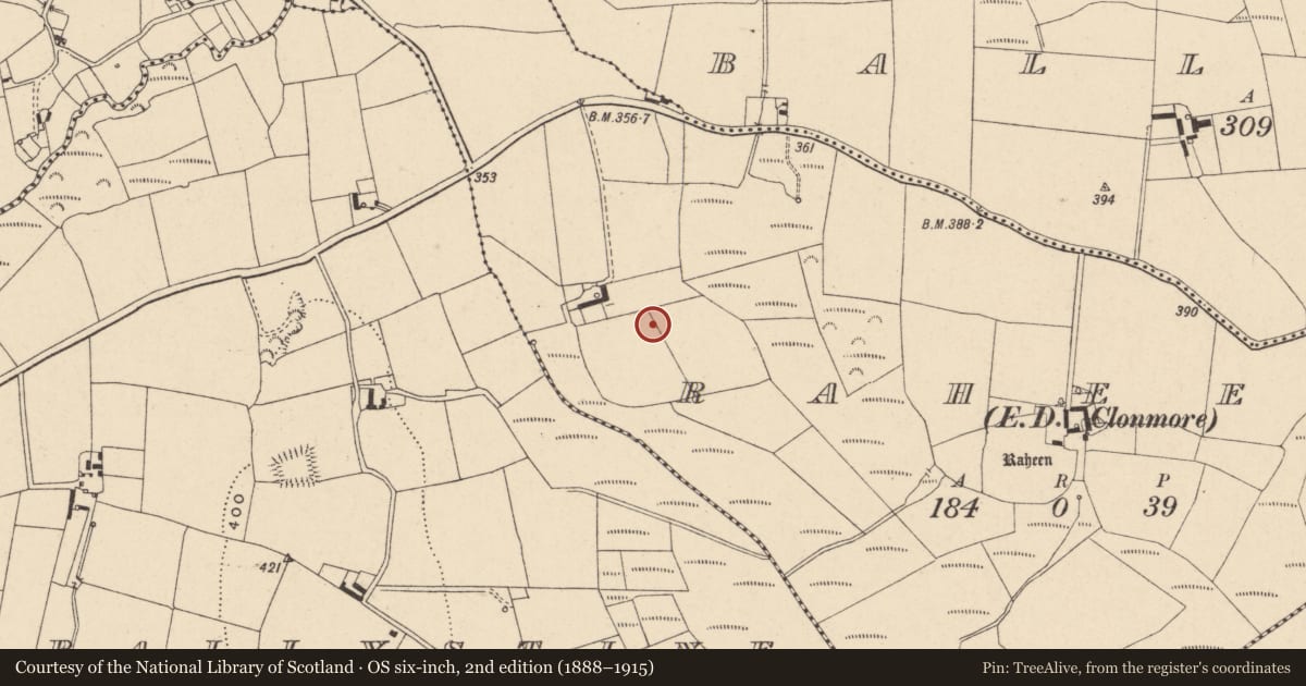 Ordnance Survey six-inch map, 2nd edition (1888–1915) covering the location of Enclosure, Raheen, County Carlow, with a pin at the register's coordinates