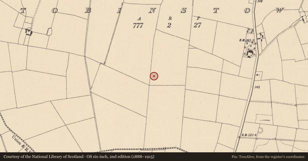 Ordnance Survey six-inch map, 2nd edition (1888–1915) covering the location of Enclosure - large enclosure, Tobinstown, County Carlow, with a pin at the register's coordinates