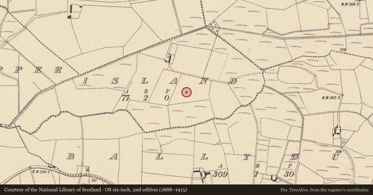 Ordnance Survey six-inch map, 2nd edition (1888–1915) covering the location of Enclosure, Island, County Carlow, with a pin at the register's coordinates