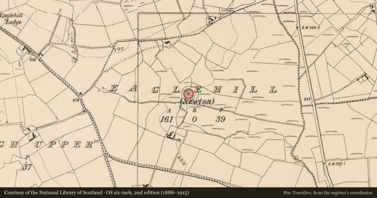 Ordnance Survey six-inch map, 2nd edition (1888–1915) covering the location of Ringfort - rath, Eaglehill (Newtown), County Carlow, with a pin at the register's coordinates