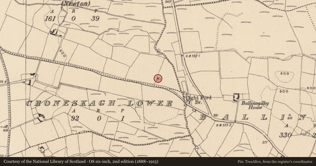 Ordnance Survey six-inch map, 2nd edition (1888–1915) covering the location of Earthwork, Eaglehill (Newtown), County Carlow, with a pin at the register's coordinates