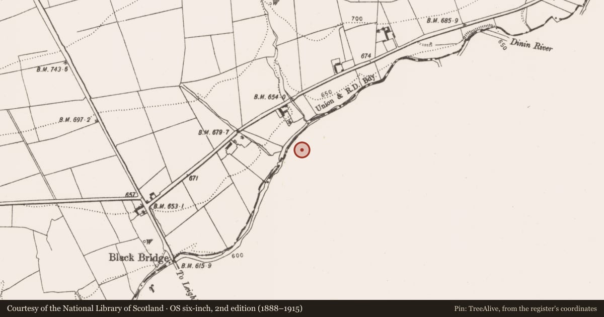 Ordnance Survey six-inch map, 2nd edition (1888–1915) covering the location of Moated site, Agharue, County Carlow, with a pin at the register's coordinates