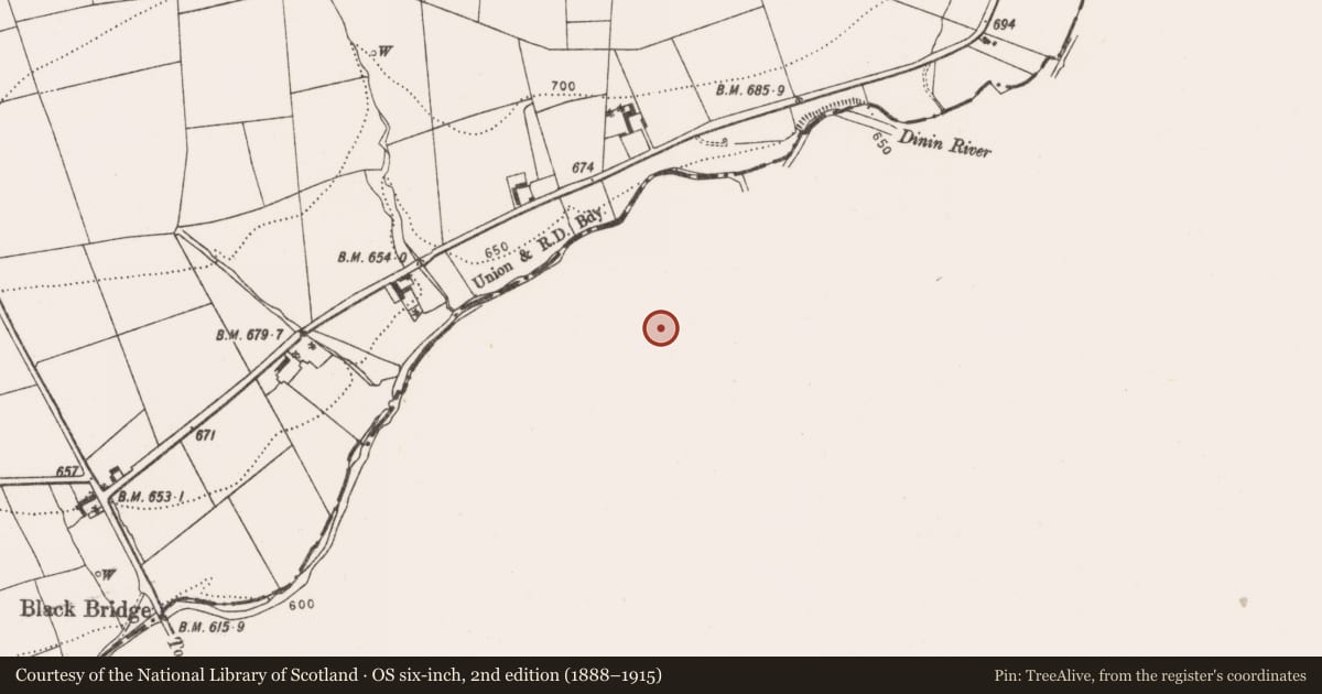 Ordnance Survey six-inch map, 2nd edition (1888–1915) covering the location of Barrow - ditch barrow, Agharue, County Carlow, with a pin at the register's coordinates