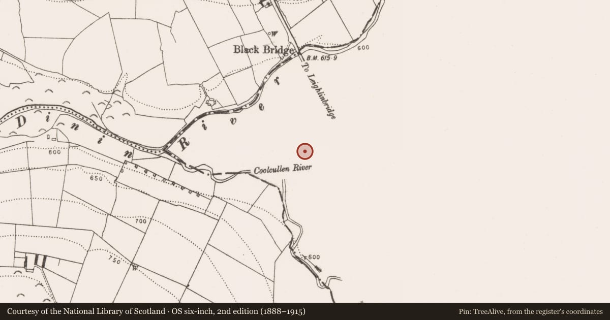 Ordnance Survey six-inch map, 2nd edition (1888–1915) covering the location of Earthwork, Agharue, County Carlow, with a pin at the register's coordinates
