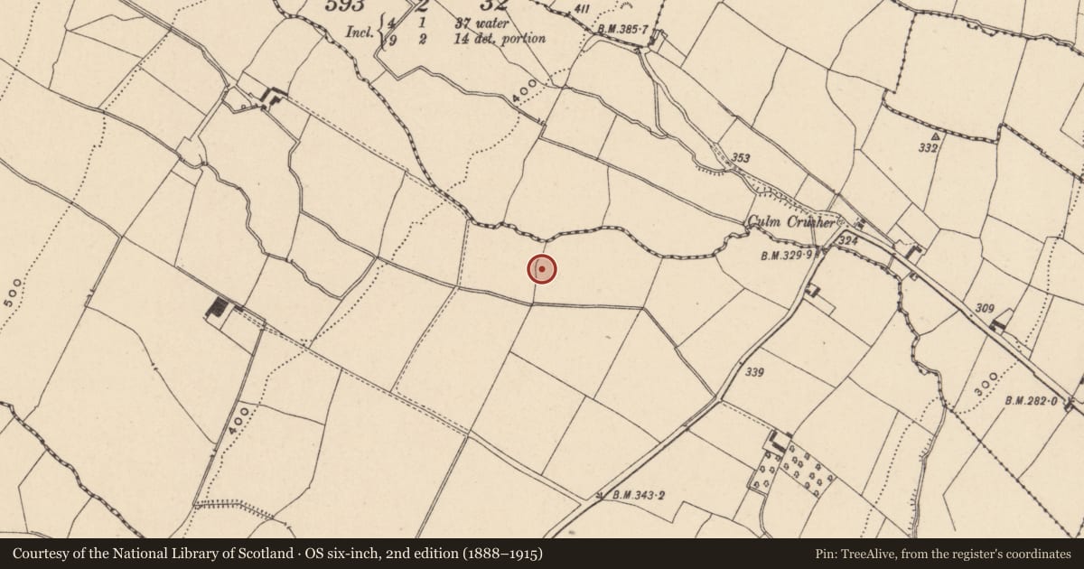 Ordnance Survey six-inch map, 2nd edition (1888–1915) covering the location of Earthwork, Cranavonane, County Carlow, with a pin at the register's coordinates