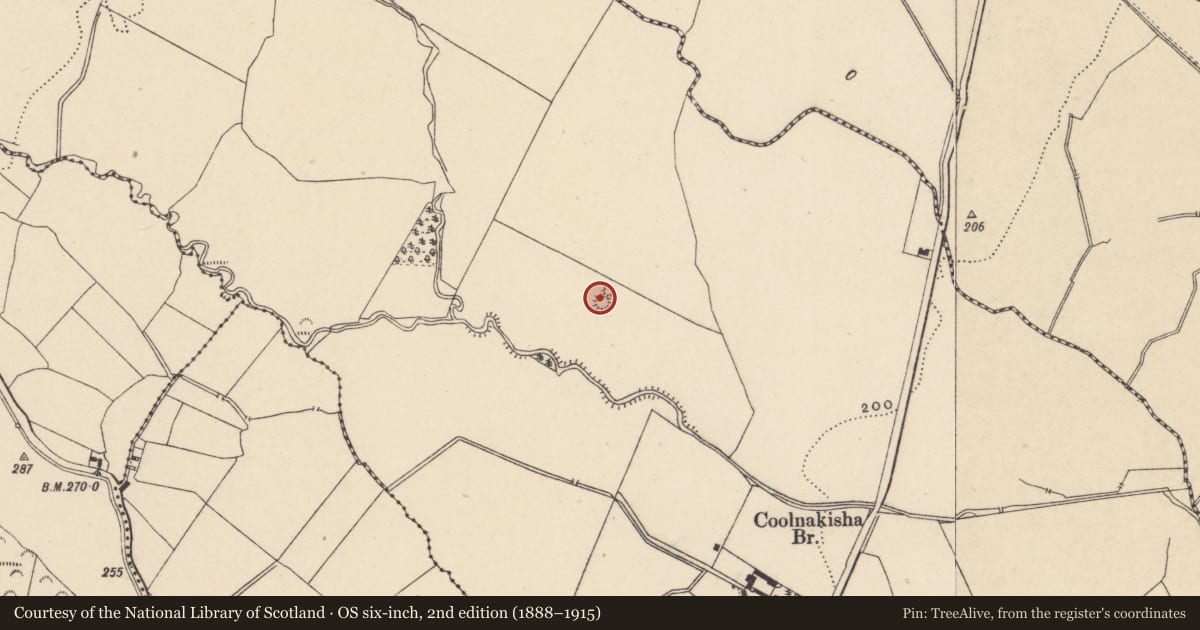 Ordnance Survey six-inch map, 2nd edition (1888–1915) covering the location of Earthwork, Coolnakisha, County Carlow, with a pin at the register's coordinates