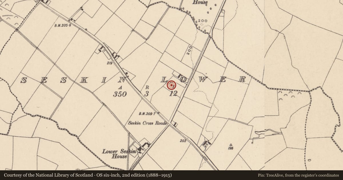 Ordnance Survey six-inch map, 2nd edition (1888–1915) covering the location of Enclosure, Seskin Lower, County Carlow, with a pin at the register's coordinates
