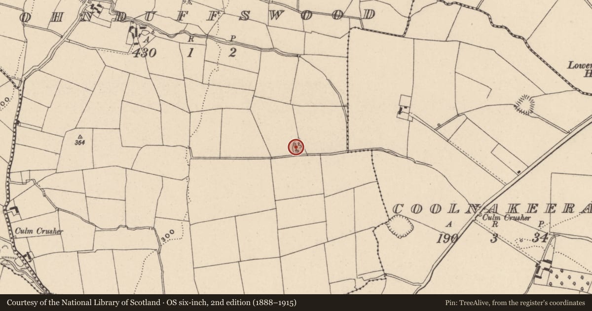 Ordnance Survey six-inch map, 2nd edition (1888–1915) covering the location of Earthwork, Johnduffswood, County Carlow, with a pin at the register's coordinates