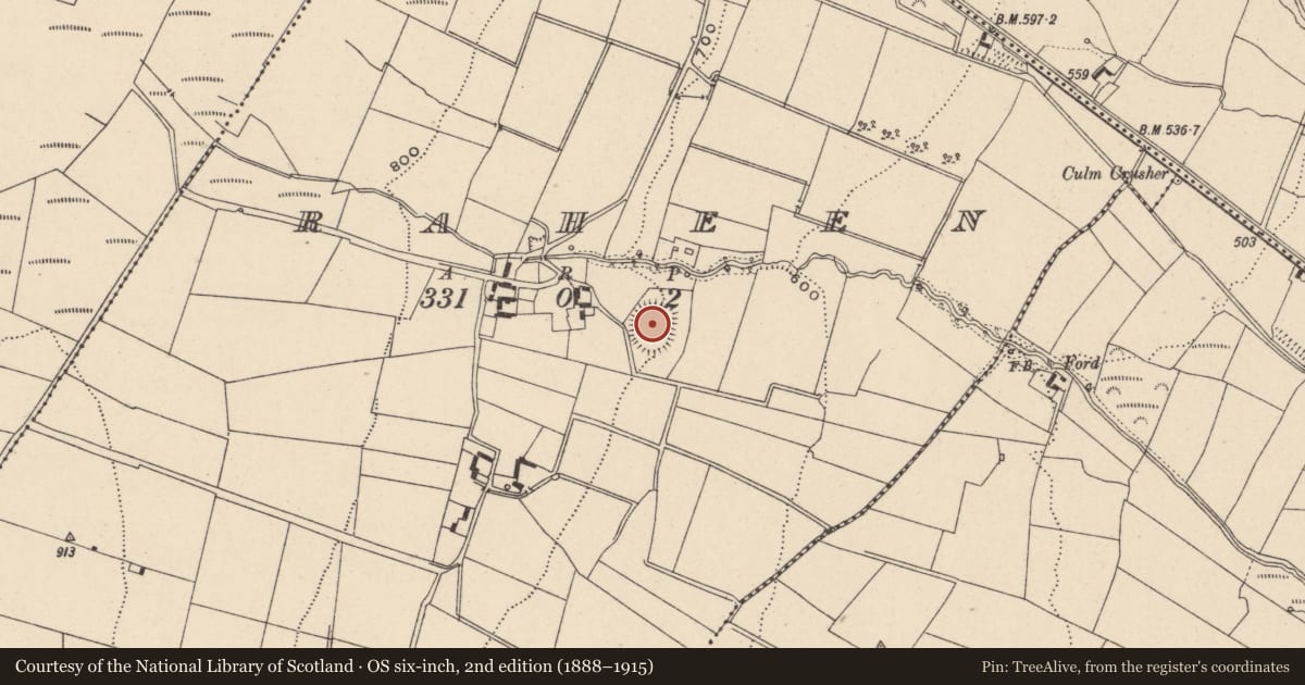 Ordnance Survey six-inch map, 2nd edition (1888–1915) covering the location of Ringfort - rath, Raheen, County Carlow, with a pin at the register's coordinates