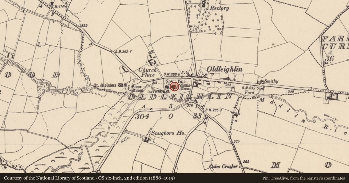 Ordnance Survey six-inch map, 2nd edition (1888–1915) covering the location of Historic town, County Carlow, with a pin at the register's coordinates