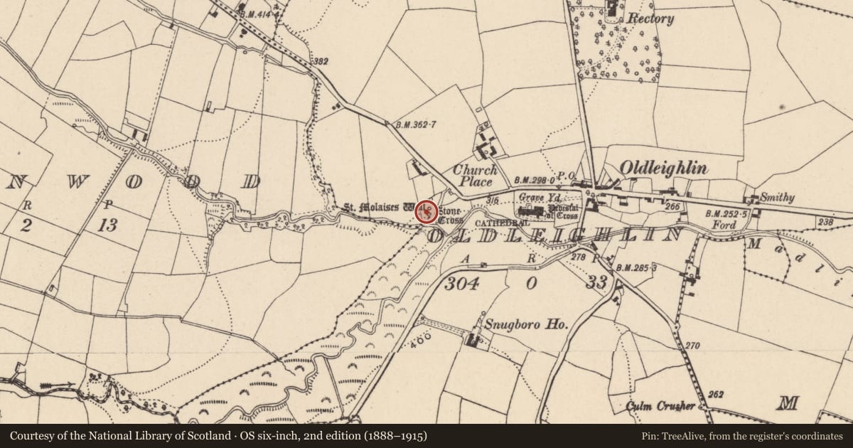 Ordnance Survey six-inch map, 2nd edition (1888–1915) covering the location of Cross - High cross, Oldleighlin, County Carlow, with a pin at the register's coordinates