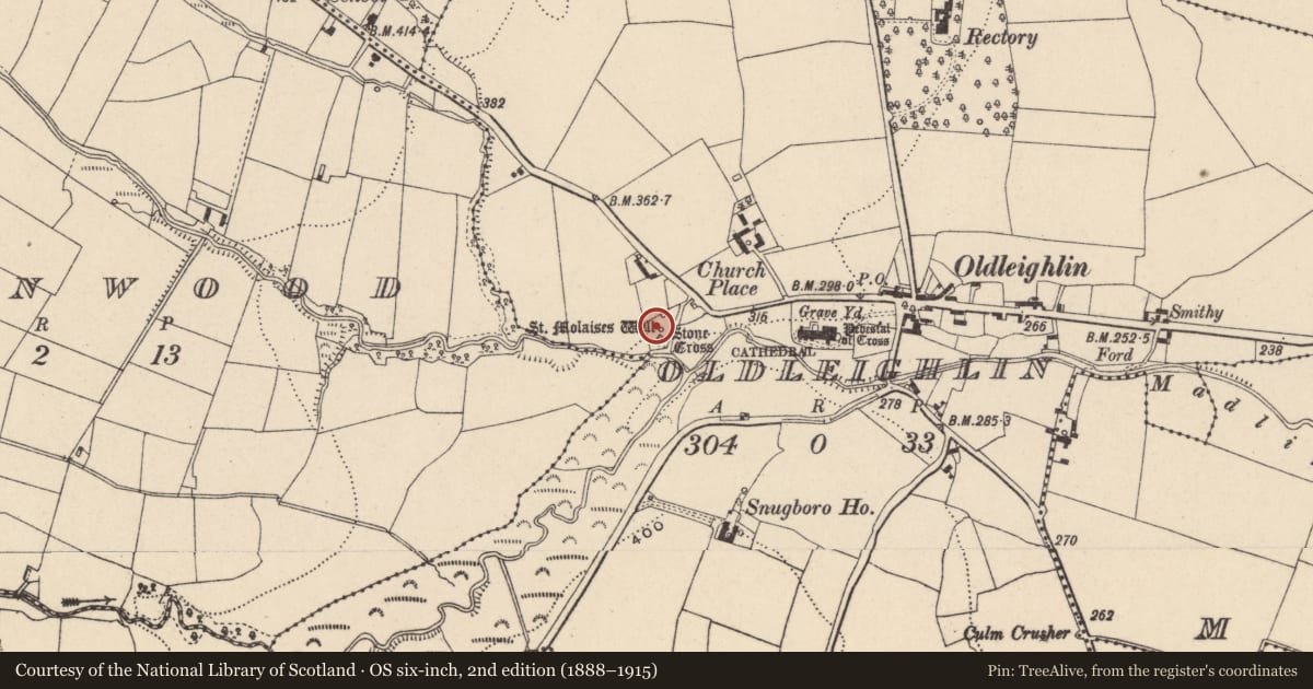 Ordnance Survey six-inch map, 2nd edition (1888–1915) covering the location of Ritual site - holy well, Oldleighlin, County Carlow, with a pin at the register's coordinates