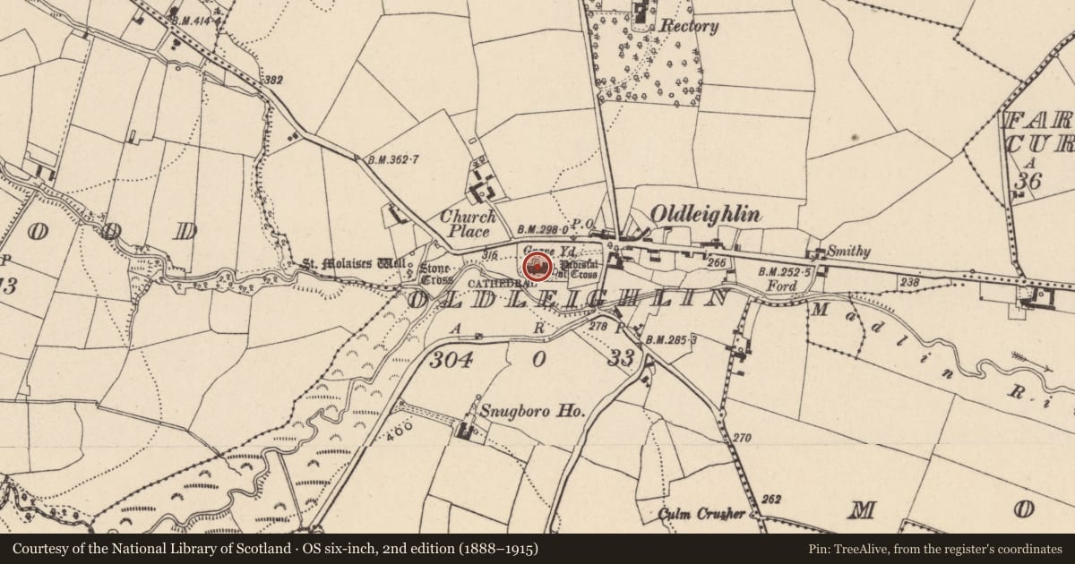 Ordnance Survey six-inch map, 2nd edition (1888–1915) covering the location of Memorial stone, Oldleighlin, County Carlow, with a pin at the register's coordinates