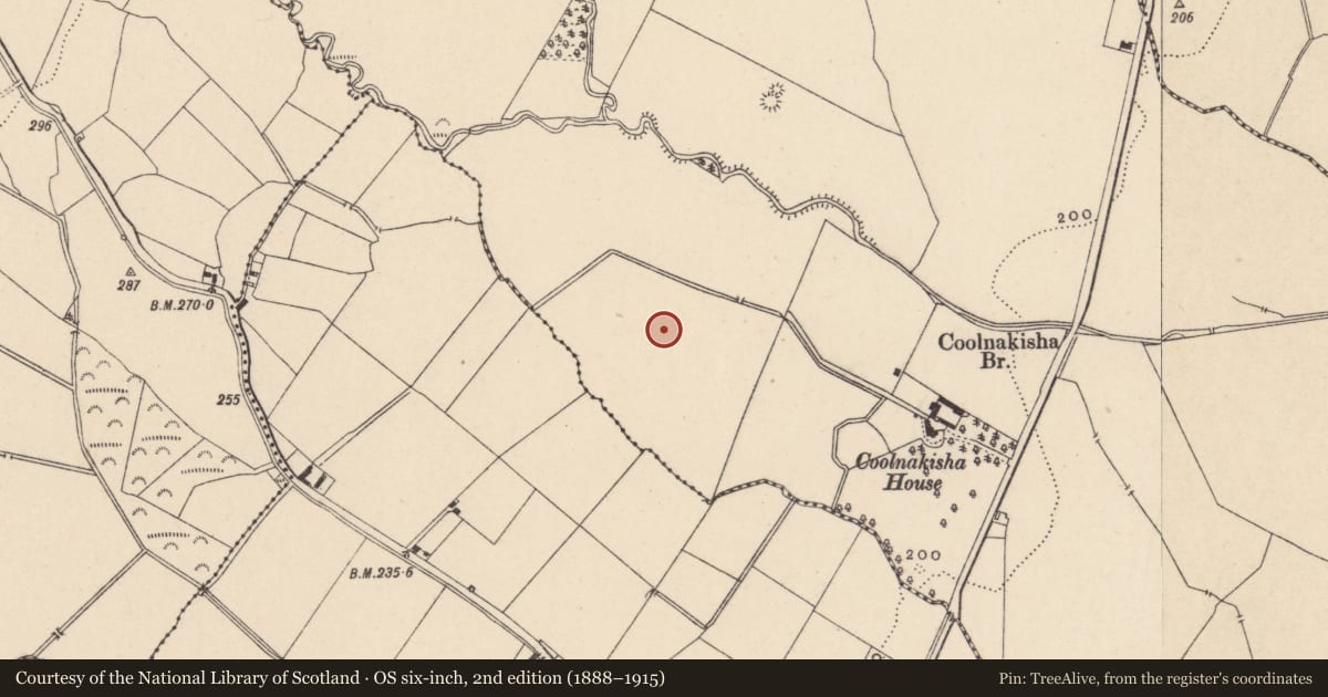 Ordnance Survey six-inch map, 2nd edition (1888–1915) covering the location of Enclosure, Coolnakisha, County Carlow, with a pin at the register's coordinates