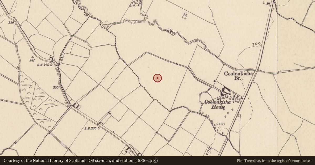 Ordnance Survey six-inch map, 2nd edition (1888–1915) covering the location of Enclosure, Coolnakisha, County Carlow, with a pin at the register's coordinates